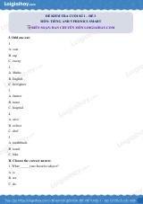 Đề thi học kì 2 Tiếng Anh 5 Phonics Smart - Đề số 3